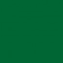 Green Flag 4
