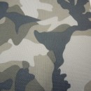 DSCN2969