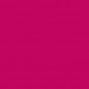 Fuxia 21